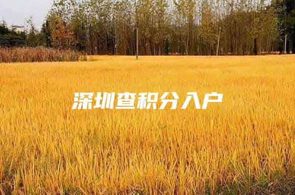 深圳查积分入户