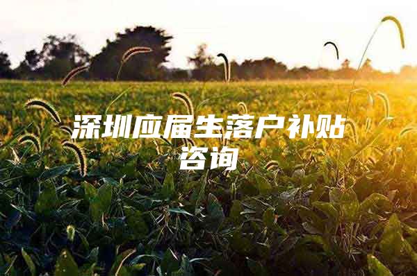 深圳应届生落户补贴咨询