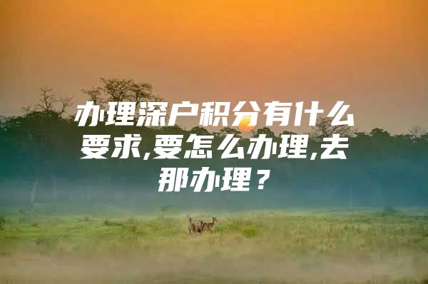 办理深户积分有什么要求,要怎么办理,去那办理？