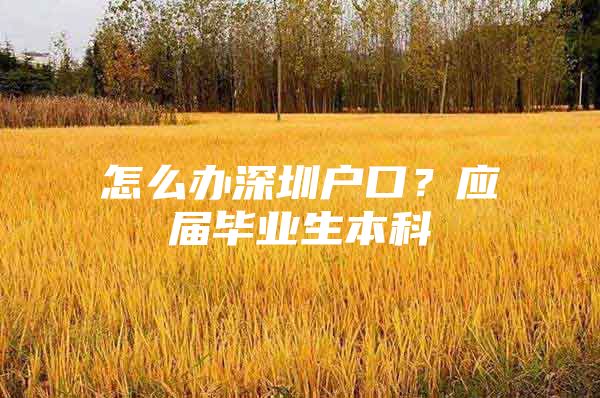 怎么办深圳户口？应届毕业生本科