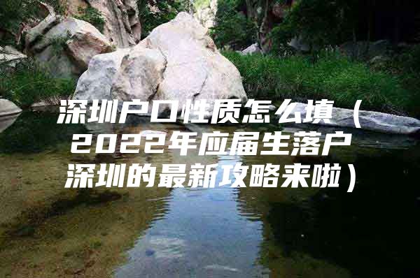 深圳户口性质怎么填（2022年应届生落户深圳的最新攻略来啦）