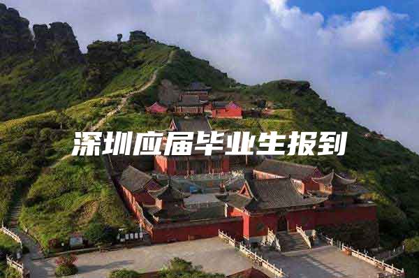 深圳应届毕业生报到