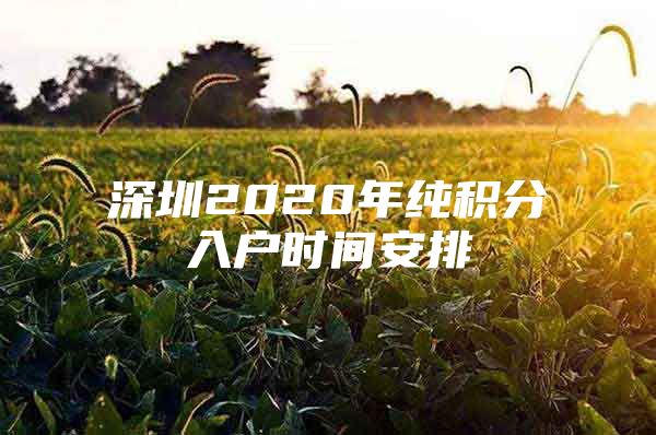 深圳2020年纯积分入户时间安排