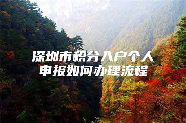 深圳市积分入户个人申报如何办理流程