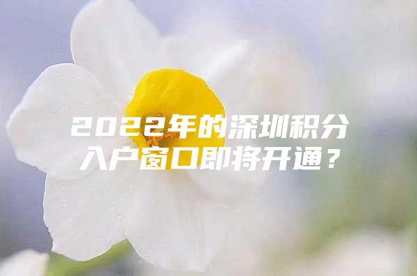 2022年的深圳积分入户窗口即将开通？