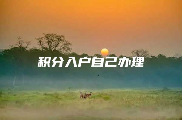 积分入户自己办理