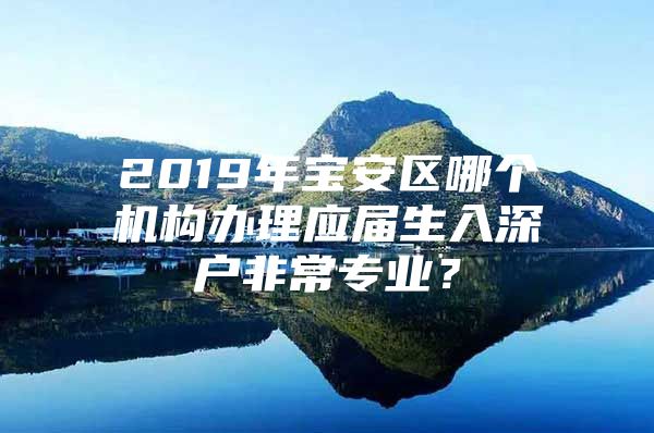 2019年宝安区哪个机构办理应届生入深户非常专业？