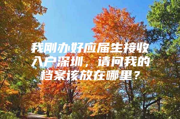 我刚办好应届生接收入户深圳，请问我的档案该放在哪里？