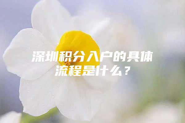 深圳积分入户的具体流程是什么？