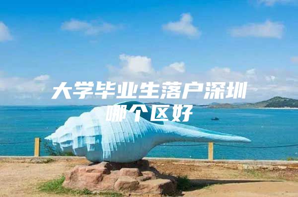 大学毕业生落户深圳哪个区好