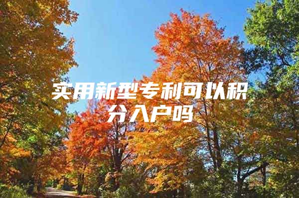 实用新型专利可以积分入户吗