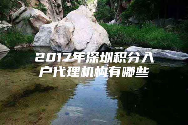 2017年深圳积分入户代理机构有哪些