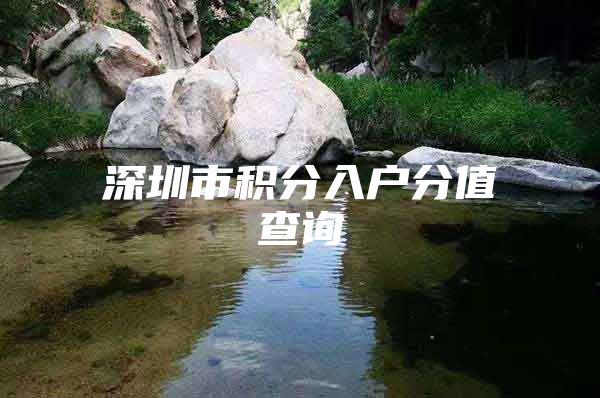 深圳市积分入户分值查询
