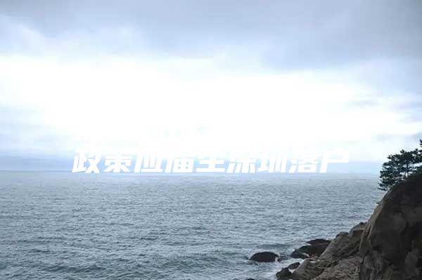 深圳入户条件2019政策应届生深圳落户