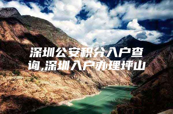深圳公安积分入户查询,深圳入户办理坪山