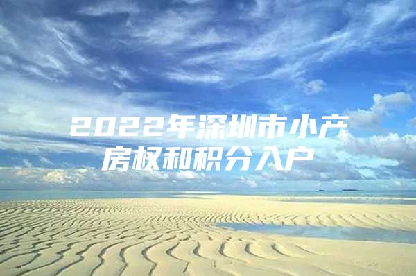 2022年深圳市小产房权和积分入户