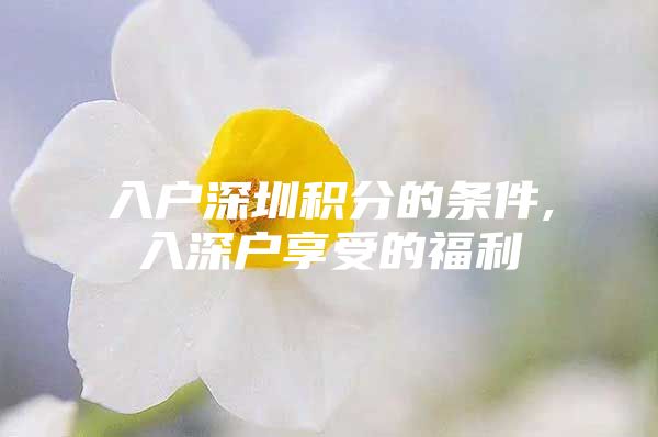 入户深圳积分的条件,入深户享受的福利