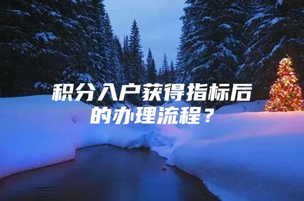 积分入户获得指标后的办理流程？