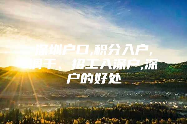 深圳户口,积分入户,调干、招工入深户,深户的好处