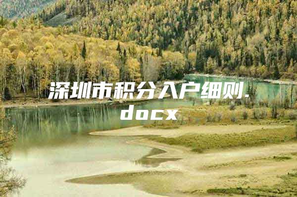深圳市积分入户细则.docx