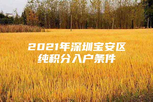 2021年深圳宝安区纯积分入户条件