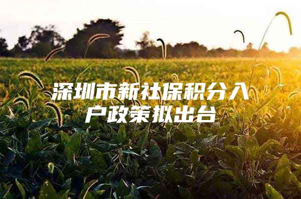 深圳市新社保积分入户政策拟出台