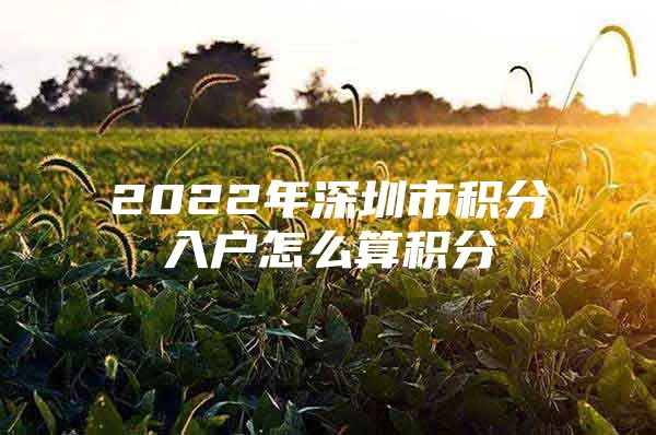 2022年深圳市积分入户怎么算积分