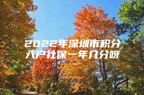 2022年深圳市积分入户社保一年几分呀