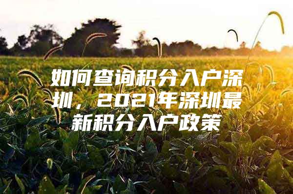 如何查询积分入户深圳，2021年深圳最新积分入户政策