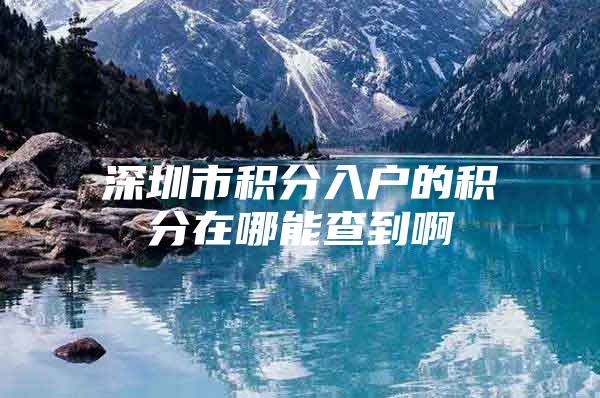 深圳市积分入户的积分在哪能查到啊