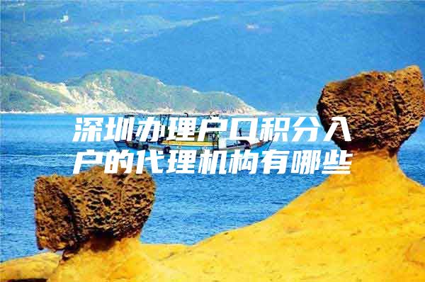 深圳办理户口积分入户的代理机构有哪些