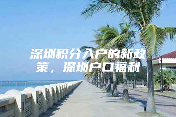 深圳积分入户的新政策，深圳户口福利