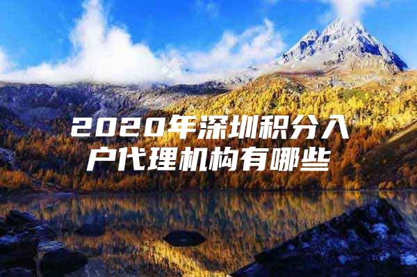 2020年深圳积分入户代理机构有哪些