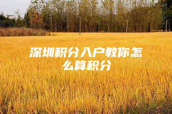 深圳积分入户教你怎么算积分