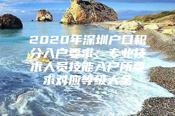 2020年深圳户口积分入户要求：专业技术人员技能入户所要求对应等级大全