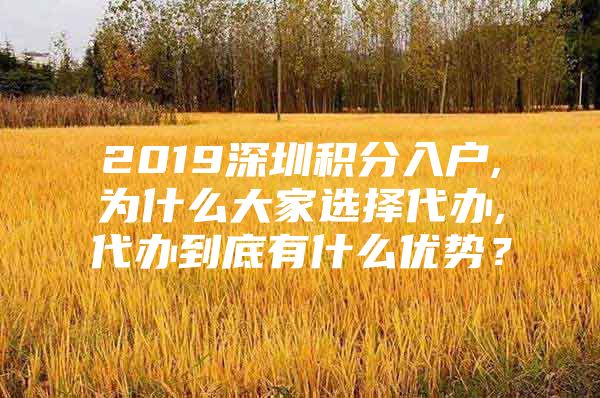 2019深圳积分入户,为什么大家选择代办,代办到底有什么优势？