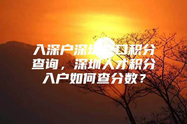 入深户深圳户口积分查询，深圳人才积分入户如何查分数？