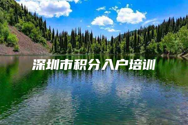 深圳市积分入户培训