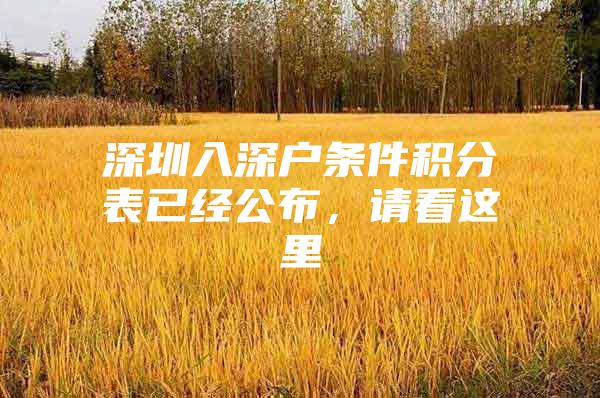 深圳入深户条件积分表已经公布，请看这里