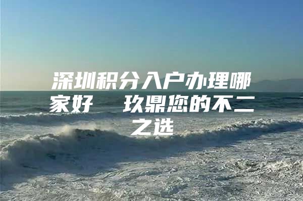 深圳积分入户办理哪家好  玖鼎您的不二之选