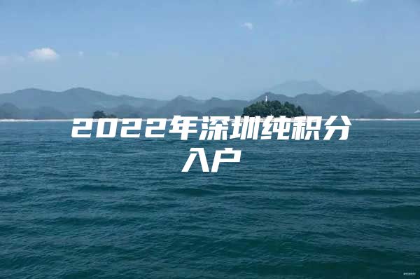 2022年深圳纯积分入户