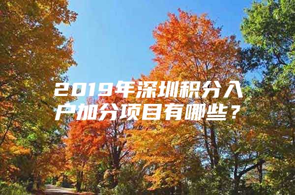 2019年深圳积分入户加分项目有哪些？
