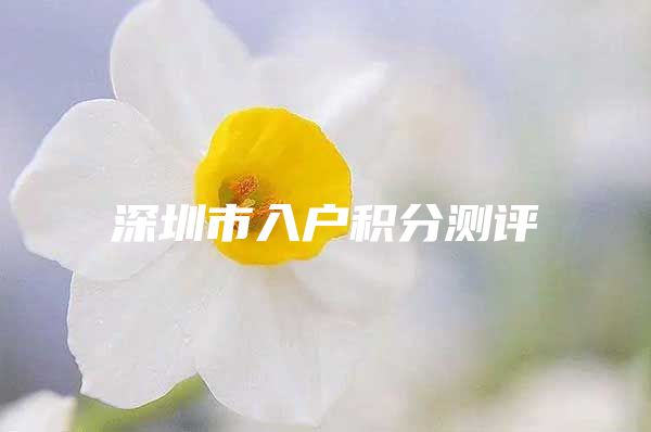 深圳市入户积分测评