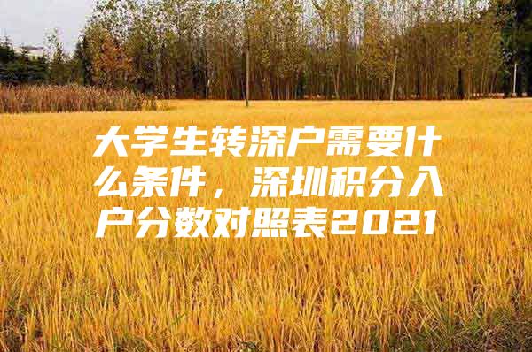 大学生转深户需要什么条件，深圳积分入户分数对照表2021