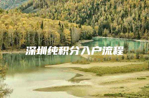 深圳纯积分入户流程
