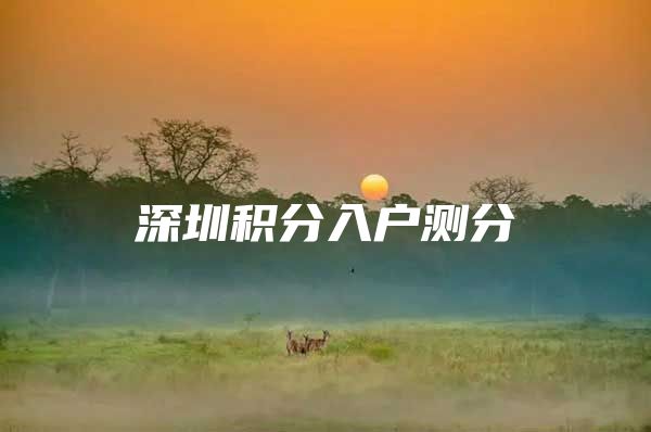 深圳积分入户测分