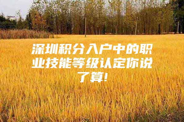 深圳积分入户中的职业技能等级认定你说了算!