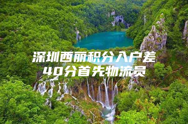 深圳西丽积分入户差40分首先物流员