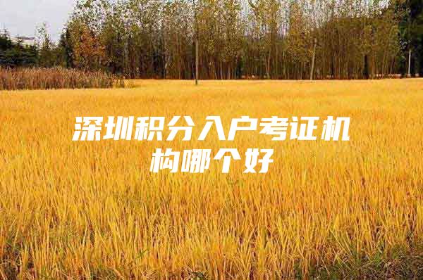 深圳积分入户考证机构哪个好
