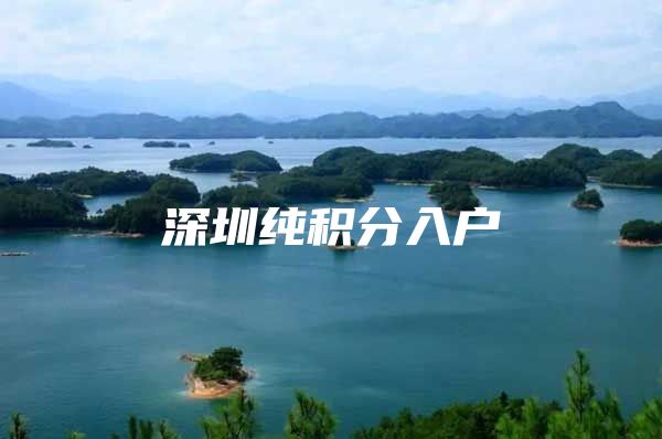深圳纯积分入户